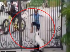 આ વીડિયો જોઇને તમે પણ હસી પડશો, આ ટેણિયાએ કૂતરાની સામે કર્યા ભાંગડા અને પછી...